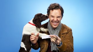 Benedict Cumberbatch Plays With Puppies While Answering Fan Questions [upl. by Debbee]