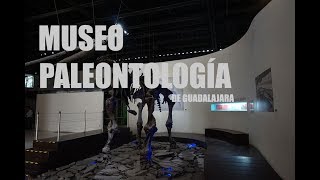 MUSEO DE PALEONTOLOGÍA DE GUADALAJARA  LOS MEJORES MUSEOS DE MÉXICO [upl. by Airym]