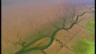 Der Nationalpark SchleswigHolsteinisches Wattenmeer [upl. by Pavlish]