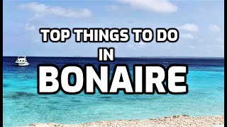 Top Things To Do In Bonaire [upl. by Aimik518]