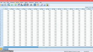 Validity and Reliability Test using SPSS [upl. by Gherardo]