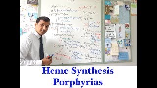 Heme synthesis and Porphyria [upl. by Merola]