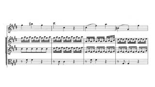 Violin Concerto quotSpring  La Primaveraquot in E major Op 8 No 1  Vivaldi Score [upl. by Pansie]