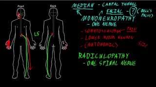 Mononeuropathy and radiculopathy [upl. by Pacificia779]