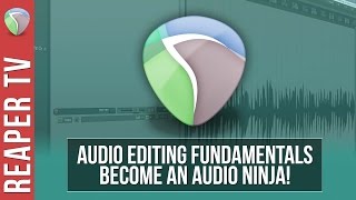 REAPER Tutorial Audio Editing Fundamentals [upl. by Chil859]