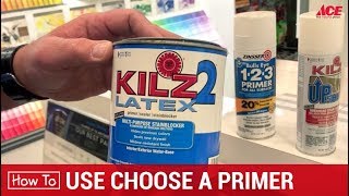 How To Choose A Paint Primer  Ace Hardware [upl. by Ellenod786]