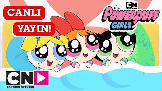 🔴 CANLI 🔴 POWERPUFF GIRLS  1 Sezon ve 2 Sezon  Cartoon Network Türkiye [upl. by Tenej]