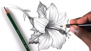 How To Draw A Flower Step by Step In 10 Minutes [upl. by Jesus]