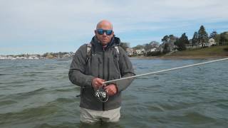 60 Second HowTo Simple Shore Fishing for Striped Bass [upl. by Naujaj]