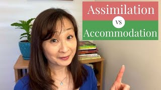 Assimilation vs Accommodation [upl. by Acsicnarf]