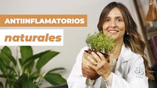 Cómo quitar el dolor con ANTIINFLAMATORIOS NATURALES [upl. by Ahcsap]