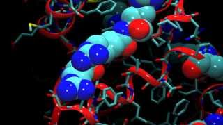 An Introduction to Molecular Dynamics [upl. by Tiffani]