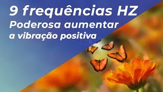 PODEROSA MÚSICA PARA ELEVAR VIBRAÇÃO POSITIVA  9 frequências Hz [upl. by Adnauq]