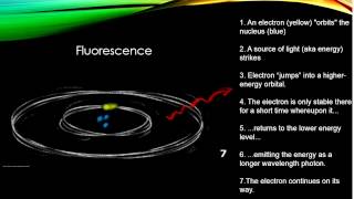 Luminescence [upl. by Brenton]