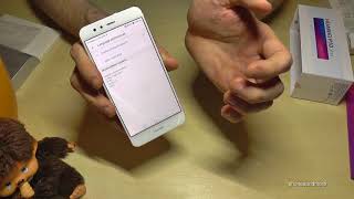 Huawei P10 Lite How to change the language [upl. by Arica]