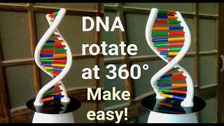 How to Make DNA Model Using Clay  Rotating DNA Model [upl. by Fini]