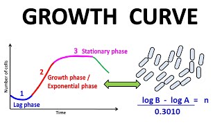 Growth curve [upl. by Hcra]