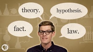 Fact vs Theory vs Hypothesis vs Law… EXPLAINED [upl. by Trinatte]