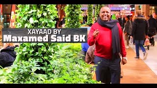 Maxamed Said BK  Xayaad Official 2016 Music Video [upl. by Argela]