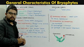 Bryophytes Plants Introduction Chapter Diversity Among Plants [upl. by Turrell]