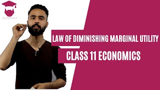 Law of Diminishing Marginal Utility  New Syllabus  Class 11  Economics [upl. by Higley]