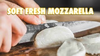 30 Minute Homemade Fresh Mozzarella Cheese [upl. by Sukul]