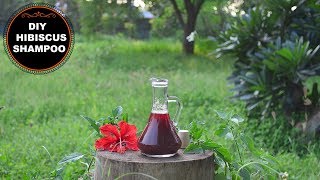 Homemade Hibiscus Shampoo To Grow Hair Faster amp Thicker [upl. by Htebiram]