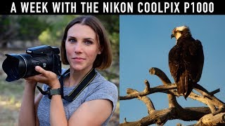 Nikon COOLPIX P1000  Photos amp First Impressions [upl. by Arvin38]