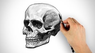 Draw a Skull  Halloween Special [upl. by Dalpe]