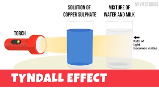 Tyndall Effect Animation  Explanation and Experiment CBSE 9th [upl. by Hurff]