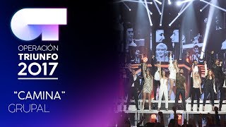 CAMINA  Grupal  OT 2017  OT Fiesta [upl. by Einnov]