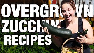 How to Cook an Overgrown Zucchini [upl. by Wehttam]