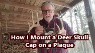 How I mount a Deer Skull cap amp Antlers to a Plaque [upl. by Nicolle]