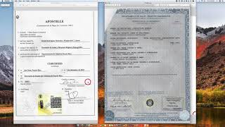 How to Apostille a Puerto Rico Birth Certificate [upl. by Intyre]