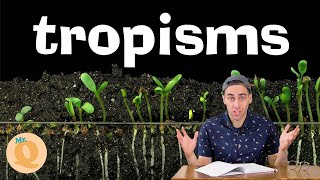 Plant Tropisms  For Kids [upl. by Laro]