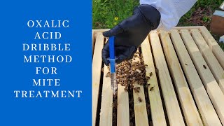 Oxalic Acid Dribble Method For Mite Treatment [upl. by Lull]