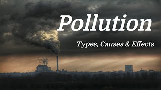 Pollution Mini Documentary Types  Causes  Effects [upl. by Stearne871]