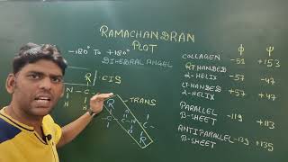 Ramachandran Plot [upl. by Ferd637]