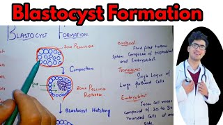 Development of Embryo  Reproduction in Animals  Dont Memorise [upl. by Ahsirtap]