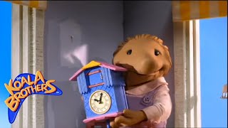 The Koala Brothers Sammys Cuckoo Clock Childrens animation series [upl. by Emmuela]