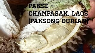 Pakse  Champasak Laos [upl. by Acilejna942]