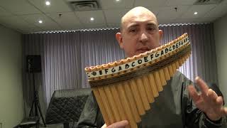 Learn to play Pan Flute Secret Garden [upl. by Trevah180]