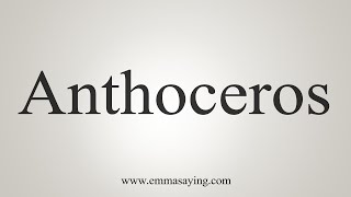 How To Say Anthoceros [upl. by Wickman]