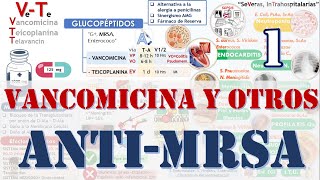 VANCOMICINA BACITRACINA FOSFOMICINA CICLOSERINA  AntiMRSA  Glucopeptidos 1 Fármacos [upl. by Richman]