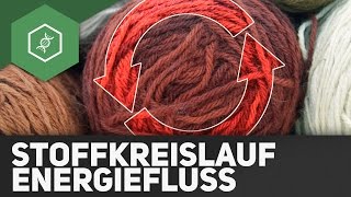 Stoffkreisläufe und Energiefluss  Ökologie [upl. by Ailemaj946]