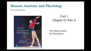 Anatomy and Physiology Chapter 1 The Human Body An Orientation Part A [upl. by Nellek]