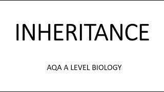 INHERITANCE  AQA A LEVEL BIOLOGY  EXAM QUESTIONS RUN THROUGH [upl. by Adnohsirk]