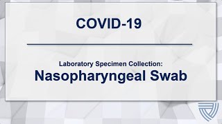 How to Obtain a Nasopharyngeal Swab Specimen [upl. by Errot]