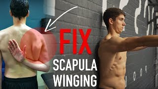 Fix Scapula Winging FULL ROUTINE [upl. by Carmen]