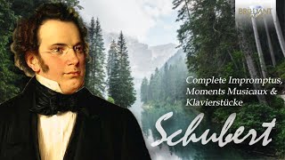 Schubert Complete Impromptus Moments Musicaux amp Klavierstücke [upl. by Htial]